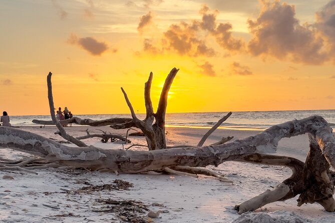 St. Pete Dolphin Watching and Island Sunset Cruise - Key Points to Know Before You Go