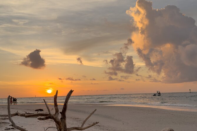 St. Pete Dolphin Watching and Island Sunset Cruise - Forty-Five Minutes at Shell Key Preserve