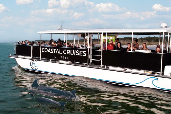 St. Pete Dolphin Watching and Shelling Adventure - What Your $42.80 Gets You on the Water