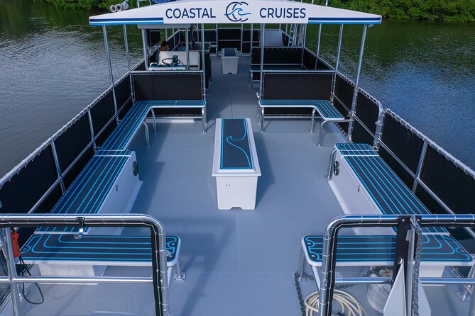 St. Pete Dolphin Watching and Shelling Adventure - Who Will Get the Most From This Cruise