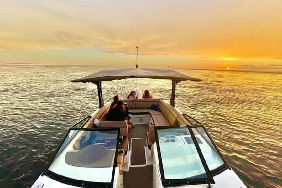 St. Petersburg: Private Barrier Island and Dolphin Boat Tour - Key points to know before you go