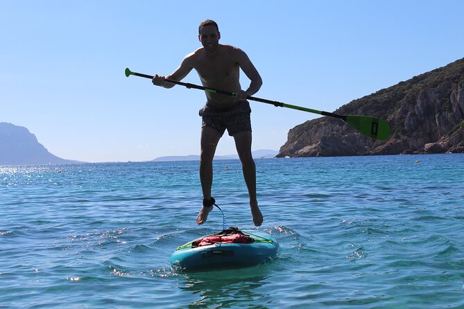Stand Up Paddle With Dolphins, aperitif and pictures - How the dolphin encounter works