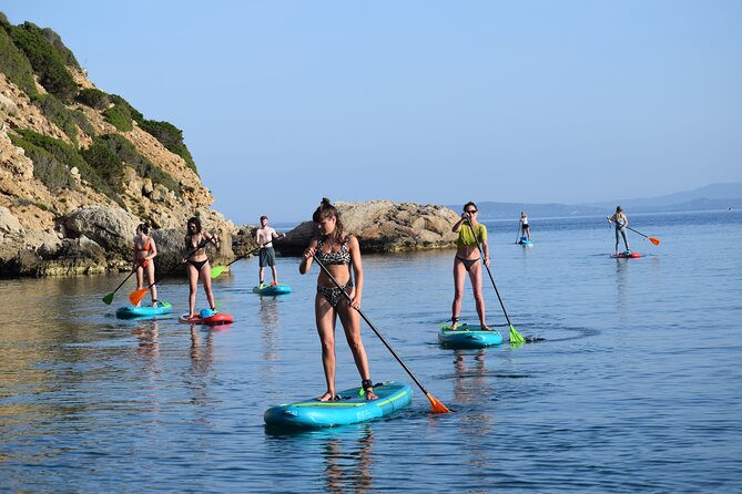 Stand Up Paddle With Dolphins, aperitif and pictures - Is $69.66 good value?