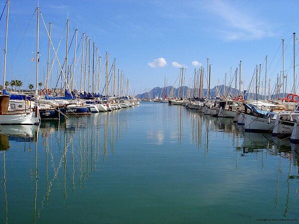 Sunrise Boat Trip in Mallorca with Dolphin-Watching - Five things to know before booking