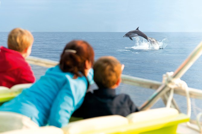 Sunrise Boat Trip in Mallorca with Dolphin-Watching - Setting out from Port d’Alcudia before sunrise