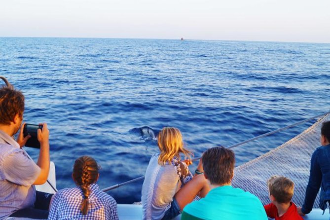 Sunrise Boat Trip in Mallorca with Dolphin-Watching - The search for dolphins near Cap de Formentor