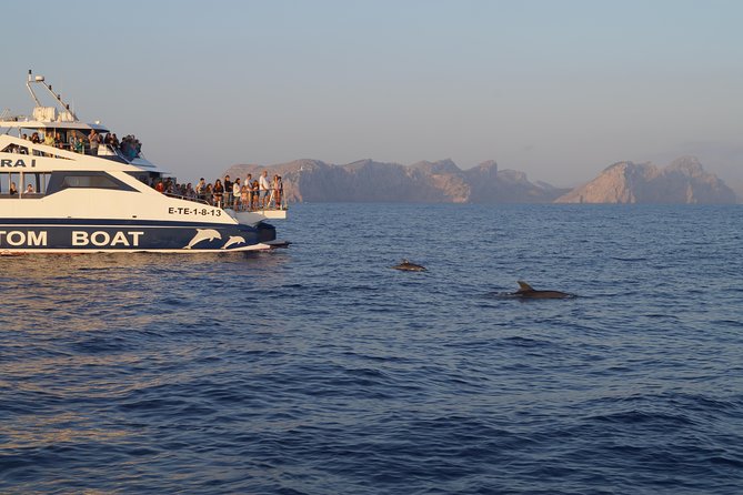 Sunrise Boat Trip in Mallorca with Dolphin-Watching - Breakfast on the return trip