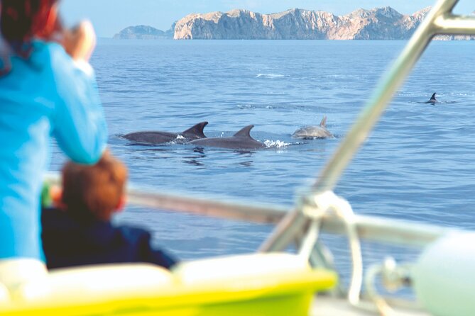 Sunrise Boat Trip in Mallorca with Dolphin-Watching - How personal is the crew interaction?