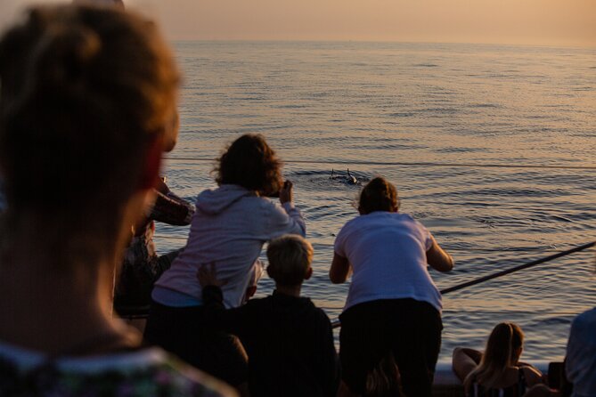 Sunrise Boat Trip in Mallorca with Dolphin-Watching - Is $74.49 good value?