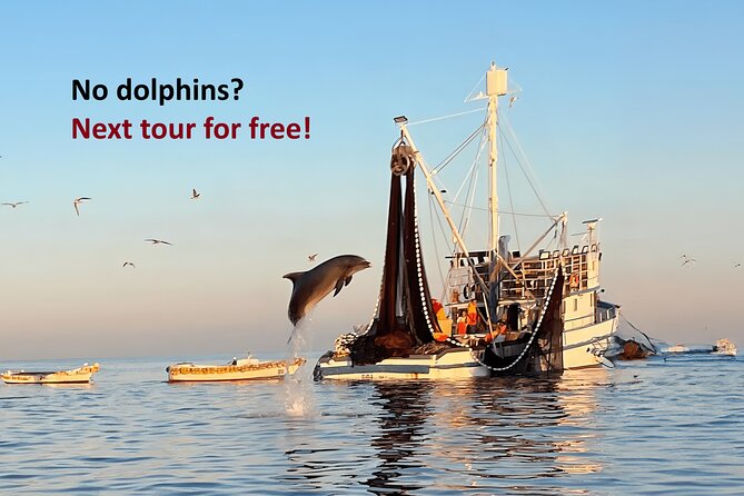 Sunrise Dolphins & Fishermen at Work speedboat tour in Rovinj - Key points at a glance