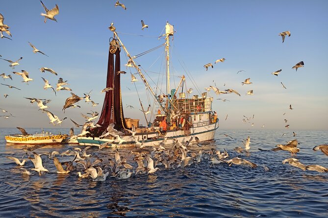Sunrise Dolphins & Fishermen at Work speedboat tour in Rovinj - Sunrise over the Adriatic