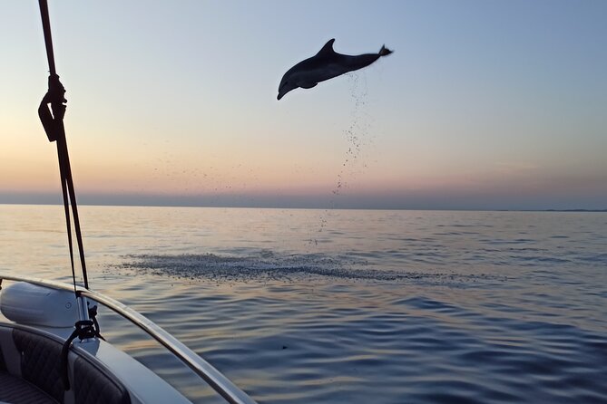 Sunrise Dolphins & Fishermen at Work speedboat tour in Rovinj - The 20 to 30 minute run offshore
