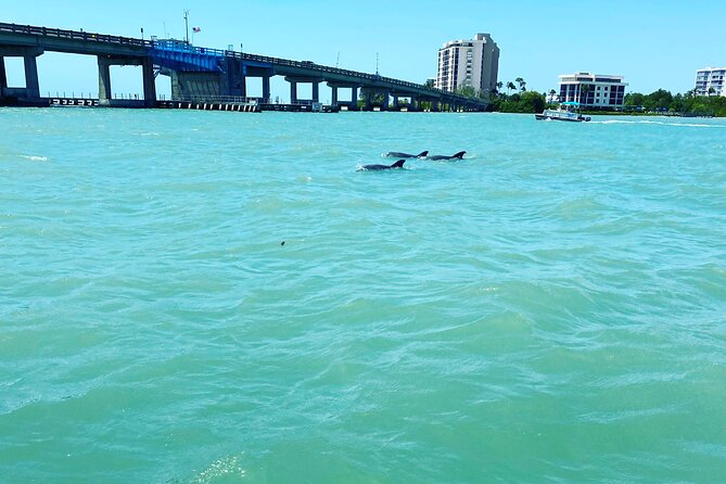Sunset and Dolphin Cruise around Fort Myers Beach - Is $375 a fair price for two hours?