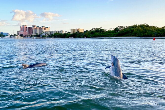 Sunset and Dolphin Cruise around Fort Myers Beach - Big Carlos Pass, where dolphin sightings are most likely