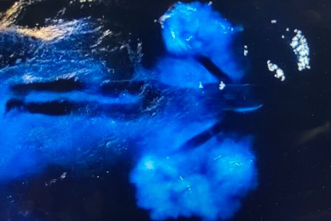 Sunset Bioluminescent Comb Jelly & Dolphin Tour - What happens at the Brevard Veterans Memorial Museum stop