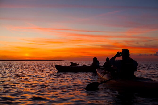 Sunset Bioluminescent Comb Jelly & Dolphin Tour - What to bring, wear, and expect on the dock