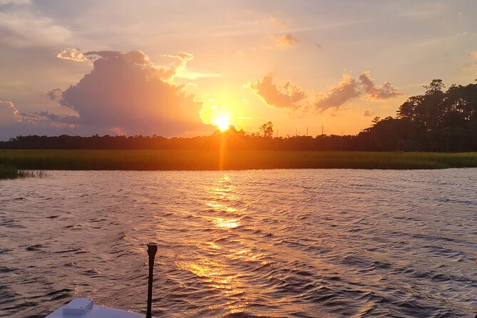 Sunset, Dolphin/Birding On A Private Guided Savannah Cruise - Birding along the marsh and river
