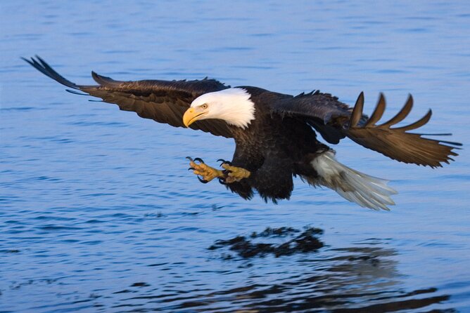 Sunset, Dolphin/Birding On A Private Guided Savannah Cruise - Clothing, comfort, and practical planning
