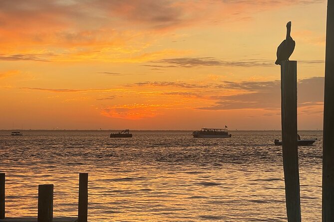 Sunset Dolphin Cruise - What the two hours feel like