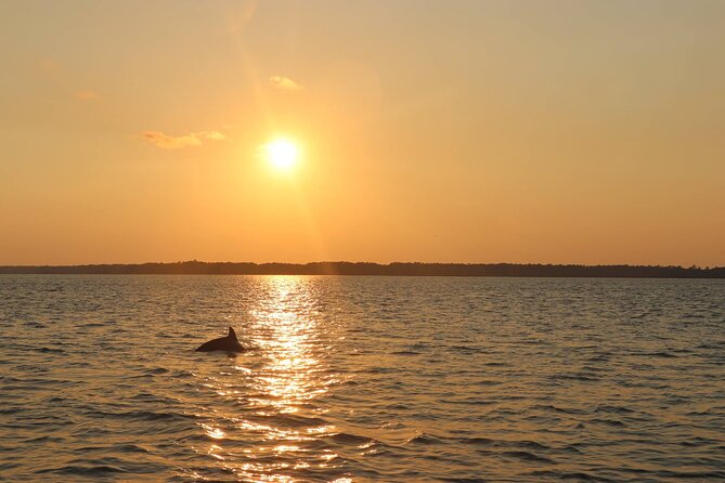 Sunset Dolphin Cruise in Hilton Head - The Calibogue Sound and the turn toward sunset