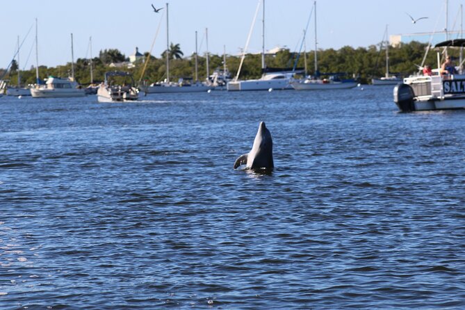 Sunset Dolphin Cruise with Sanibel Lighthouse Views - The Mound House and 2,000 years of local history