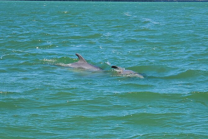 Sunset Dolphin Cruise with Sanibel Lighthouse Views - Passing the Shrimp Boat Fleet