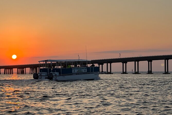 Sunset Dolphin Cruise - Searching for dolphins, sharks, and manatees