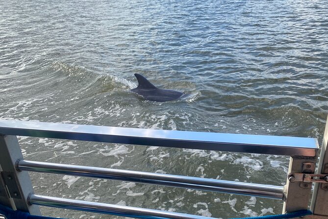 Sunset Dolphin Eco Tour - Is $53 a fair price?
