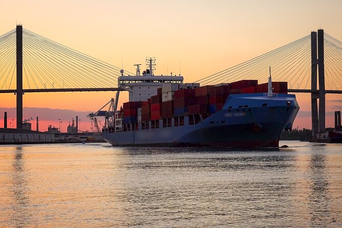 Sunset Dolphin Eco Tour - Who will enjoy this cruise most?