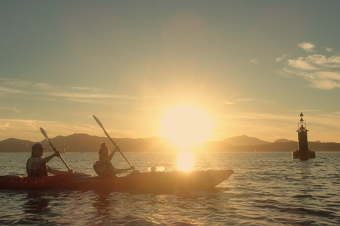 Sunset Dolphin Kayak Tour at Golfo Aranci - Key points to know before you paddle