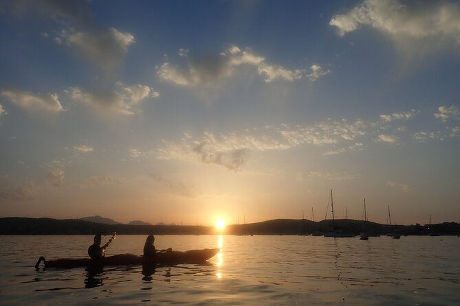 Sunset Dolphin Kayak Tour at Golfo Aranci - Carla Moresca and Sardinia’s dolphin area