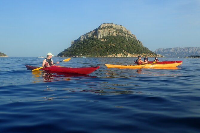 Sunset Dolphin Kayak Tour at Golfo Aranci - Who should book this kayak tour?
