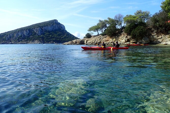 Sunset Dolphin Kayak Tour at Golfo Aranci - Paddling toward Isola di Figarolo