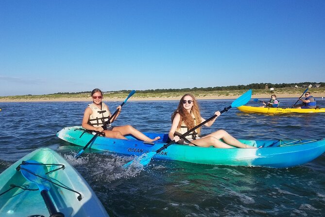 Sunset Dolphin Kayak Tours - Who will enjoy this kayak tour most