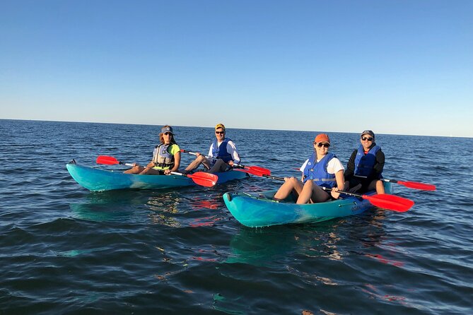Sunset Dolphin Kayak Tours - Small-group guiding makes a difference
