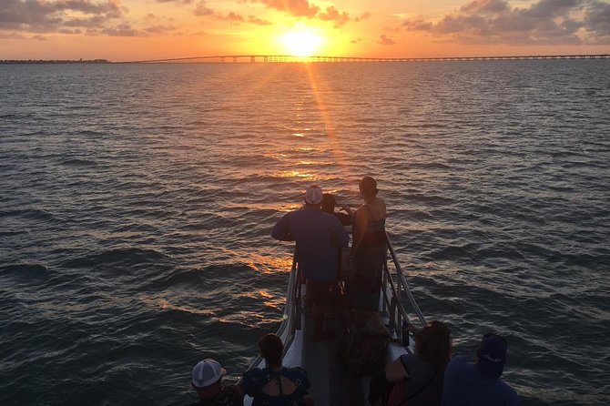 Sunset Dolphin Watch Tour - Quick takeaways from the Gulf cruise
