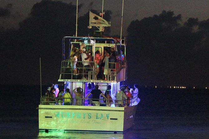 Sunset Dolphin Watch Tour - Live commentary about marine life and the coast