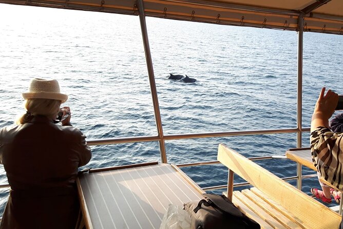 Sunset Dolphin Watching Boat Tour from Vrsar - Drinks, ice, and the relaxed boat atmosphere