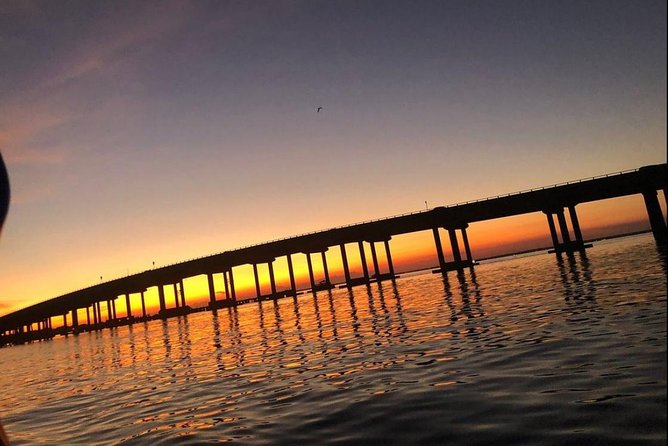 Sunset Dolphin Watching Cruise in Destin Harbor - A fast, friendly ride from Destin Harbor