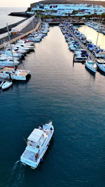 Sunset Dolphin Watching Tour on Hybrid Boat in Small Group - The sunset payoff