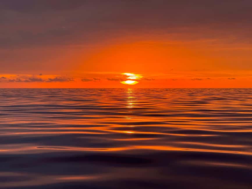 Sunset Dolphin Watching Tour on Hybrid Boat in Small Group - Who will enjoy this most?