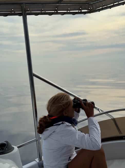 Sunset Dolphin Watching Tour on Hybrid Boat in Small Group - Should you book the Pasito Blanco sunset cruise?