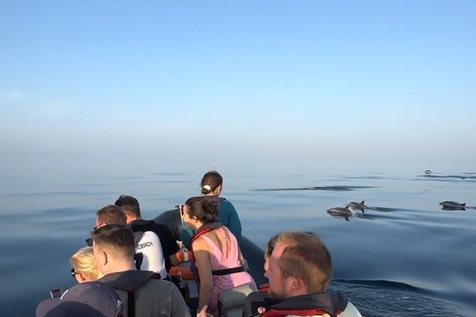 Sunset Dolphin Watching with Marine Biologists - Is $78.31 a fair price for 2.5 hours?