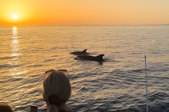Sunset Dolphin Watching with Marine Biologists - Who will enjoy this Faro sunset tour?