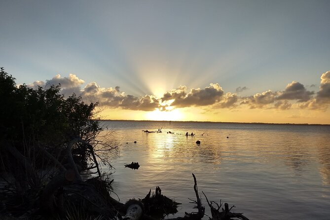 Sunset kayaking tour at Manatee Cove with Manatee & Dolphin sightings - Key things to know before paddling out