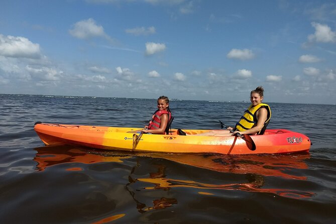 Sunset kayaking tour at Manatee Cove with Manatee & Dolphin sightings - Starting at Manatee Cove Park at 6:00 pm