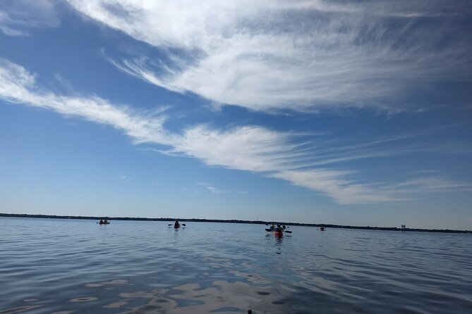 Sunset kayaking tour at Manatee Cove with Manatee & Dolphin sightings - Your chances of seeing dolphins and manatees