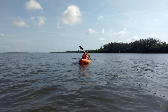 Sunset kayaking tour at Manatee Cove with Manatee & Dolphin sightings - The island stop and the small creatures underfoot