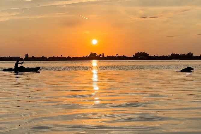 Sunset Kayaking with Dolphins - Key points at a glance