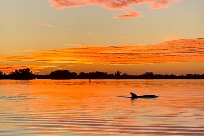 Sunset Kayaking with Dolphins - Your first few minutes in a tandem kayak